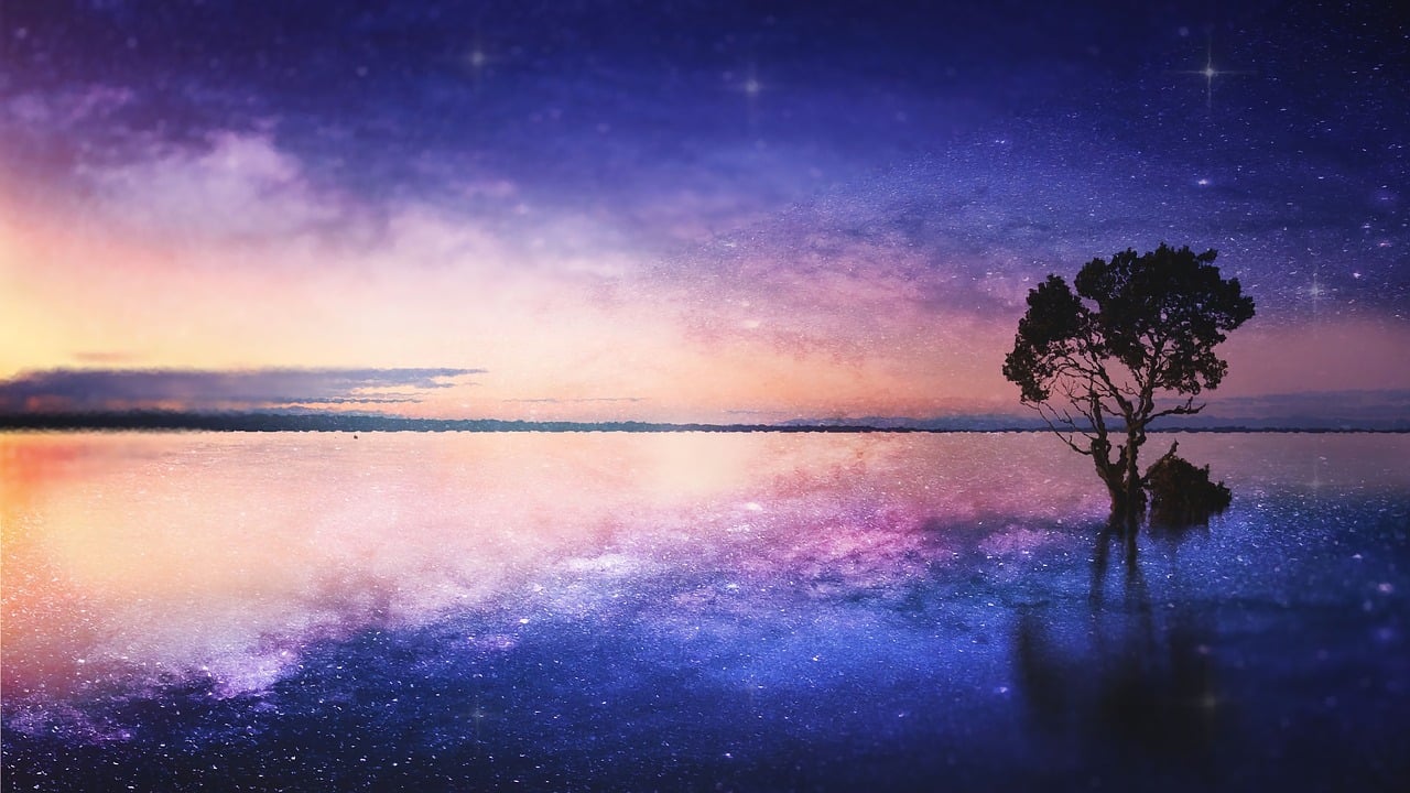 dream, ocean, horizon, tree, peaceful, landscape, nature, reflections, dream, dream, dream, dream, dream, peaceful, peaceful, peaceful, nature